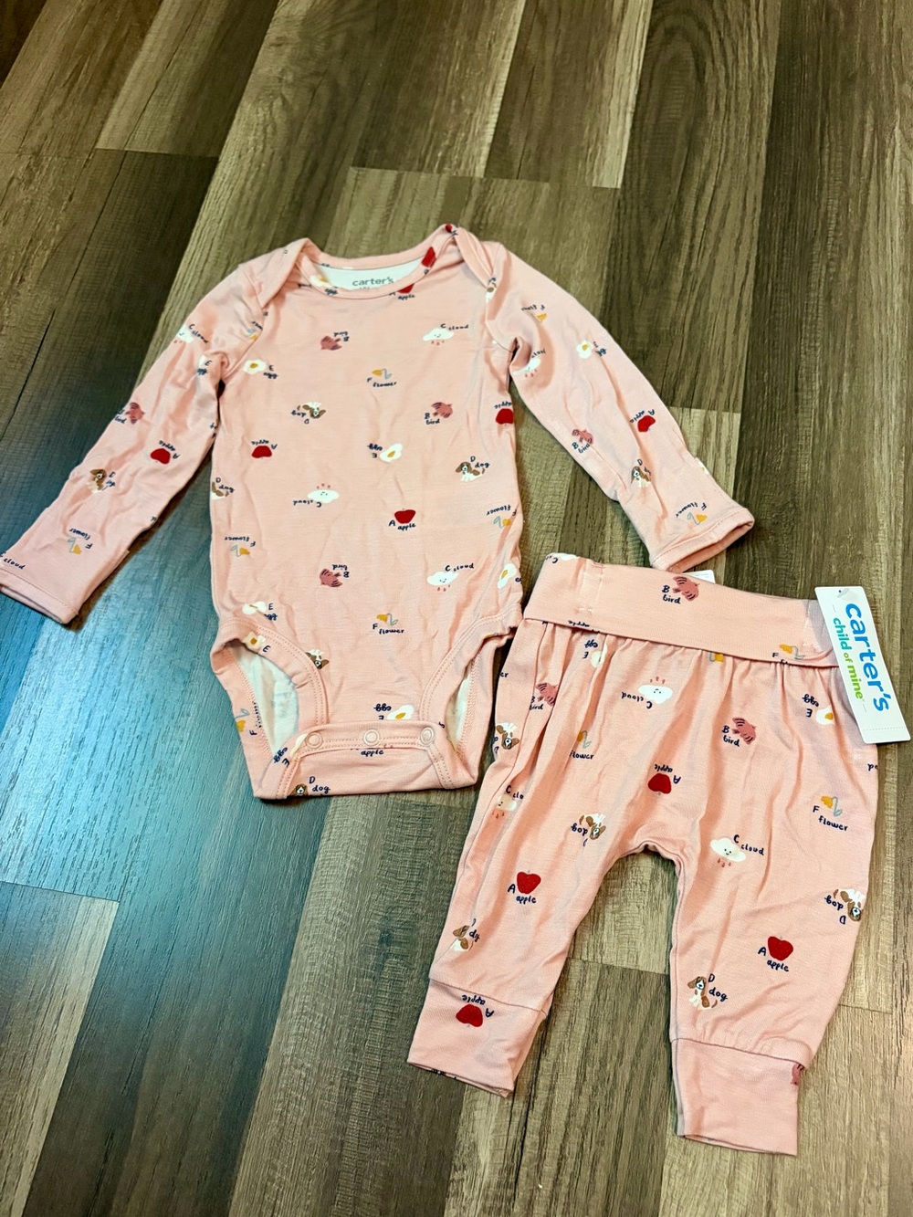 Carters Outfit NWT